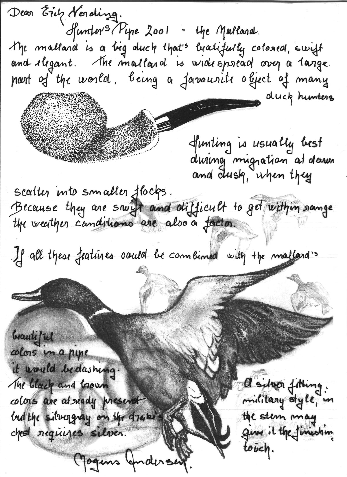 A black ink illustration and handwritten commentary on a duck, likely from a duck hunting book or journal, featuring a detailed duck sketch with descriptive text.