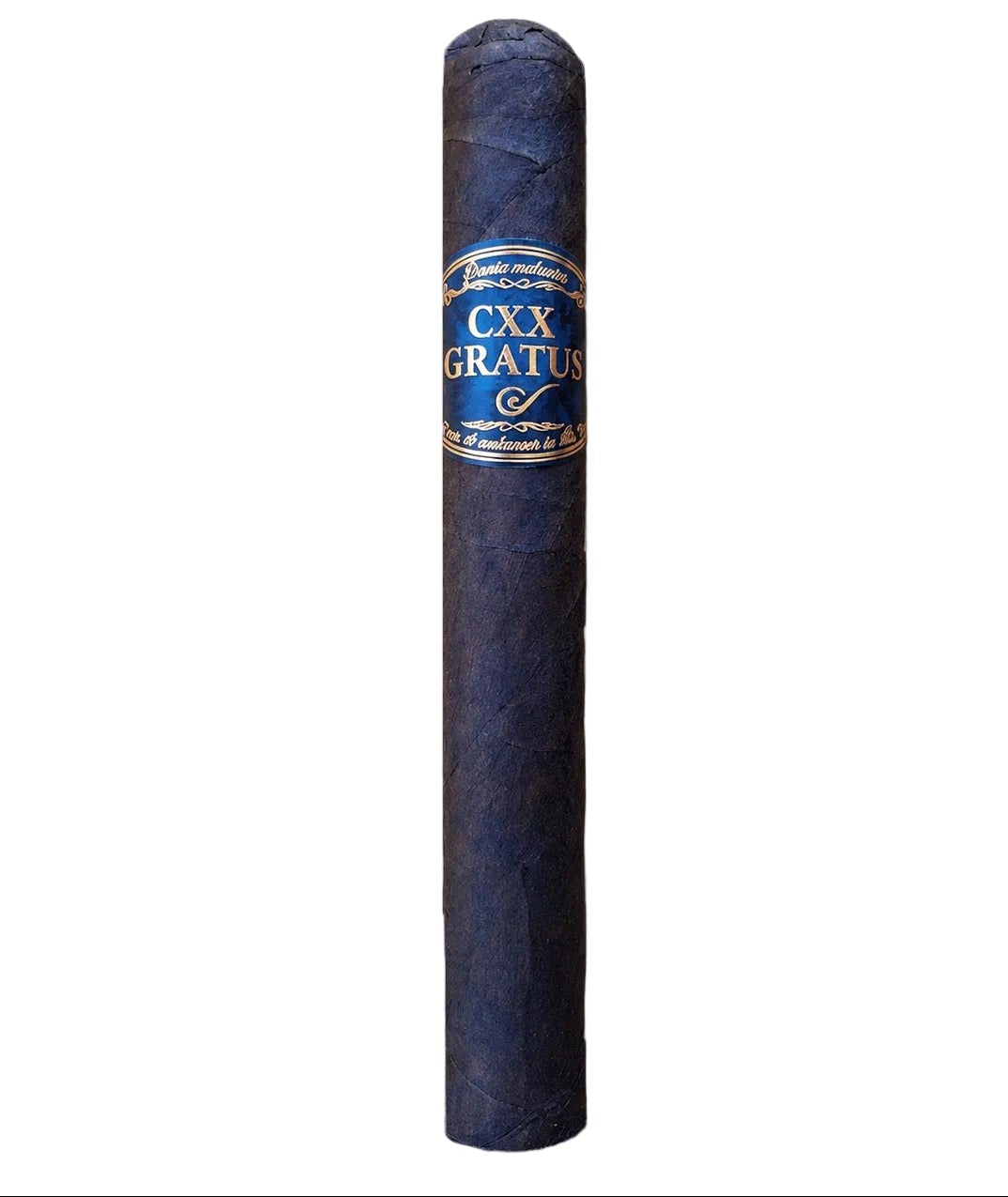 A single dark blue-gray cigar standing upright on a wooden table, with a blue and gold band reading CXX GRATUIT. The background shows a softly blurred cigar room with shelves and rolled cigars.
